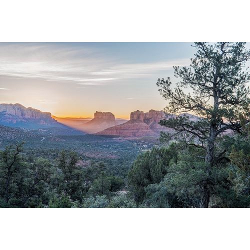 Tilley, Rob 아티스트의 Arizona-Sedona Cathedral Rock at sunrise작품입니다.
